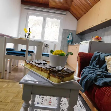 Apartman Gavro Bajina Basta Exterior foto