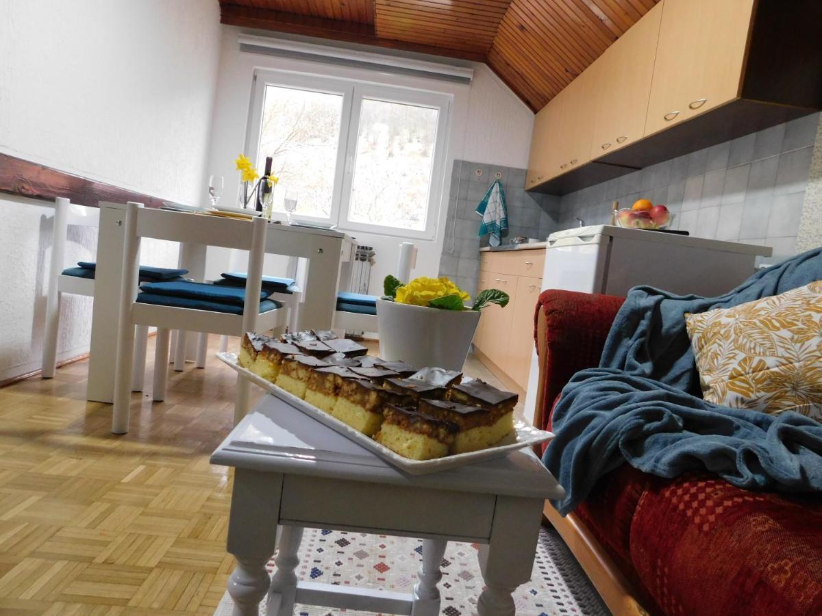 Apartment Gavro Bajina Basta