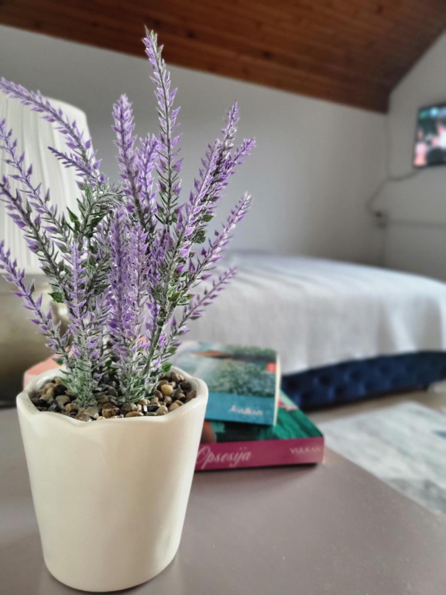 Gavro Apartment *